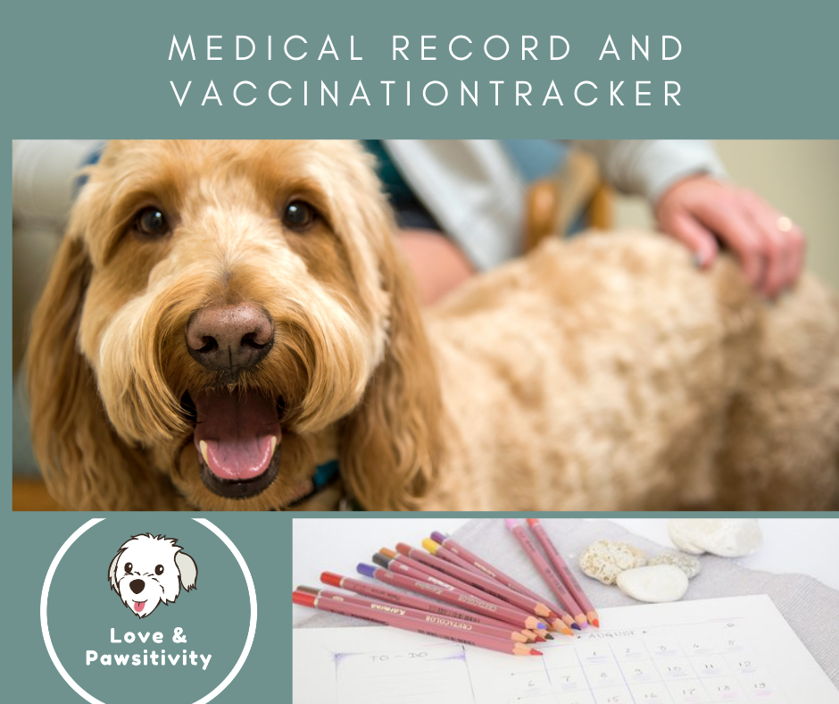 DOWNLOAD - Printable Dog Health and Vaccination Record Keeper