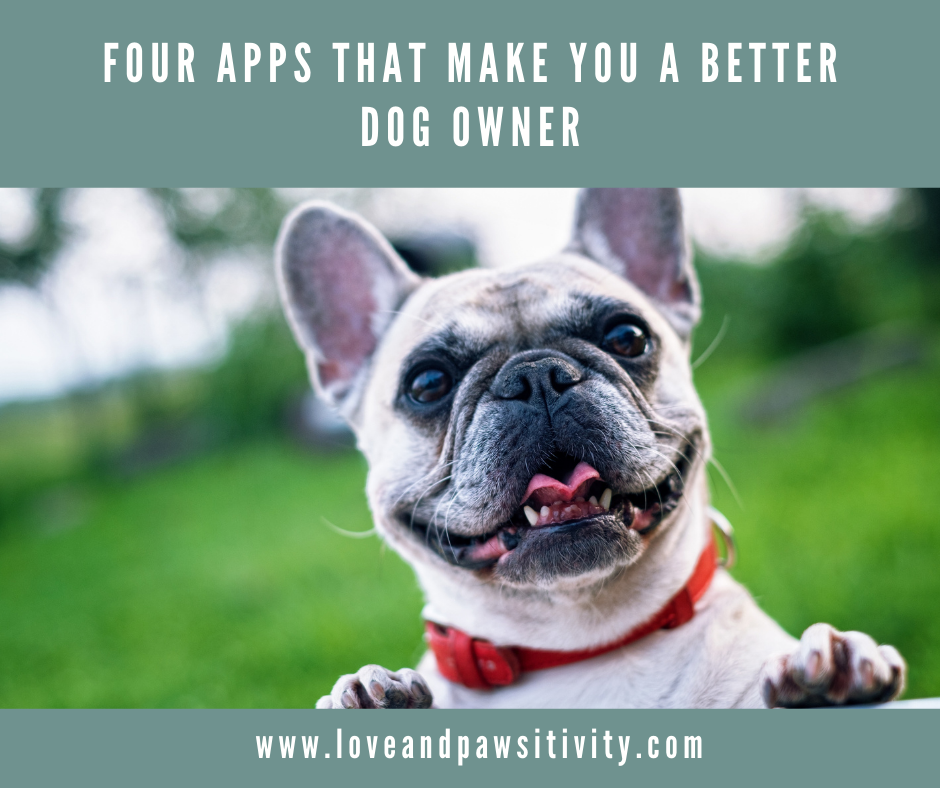 Four Apps That Make You a Better Dog Owner