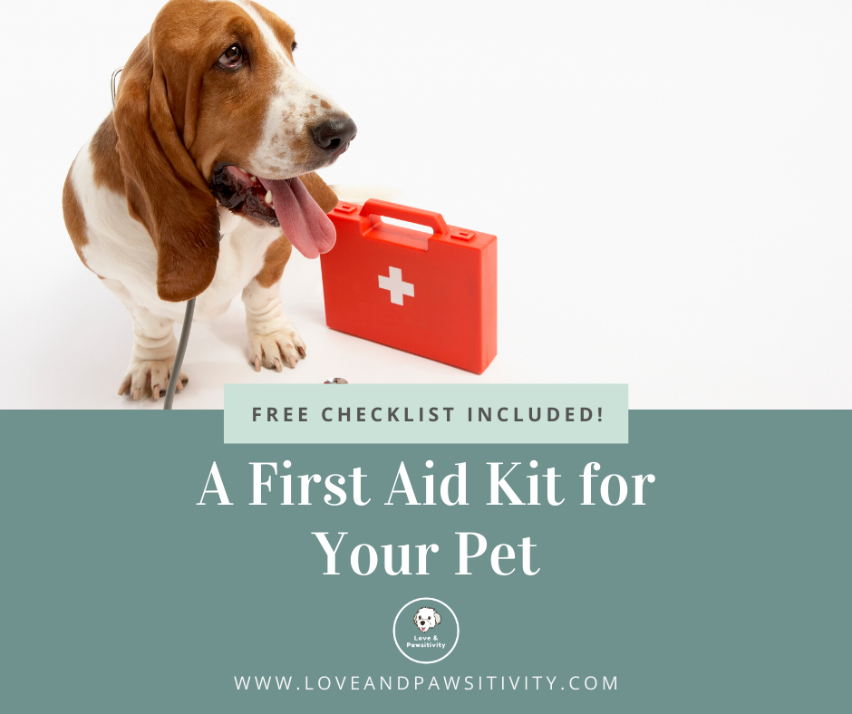 How to Create a First Aid Kit for Your Pet (Includes FREE Downloadable Checklist)
