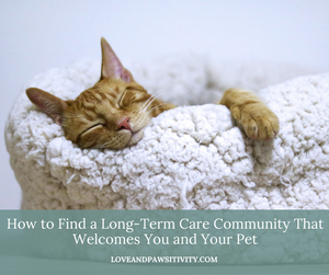 How to Find a Long-Term Care Community That Welcomes You and Your Pet