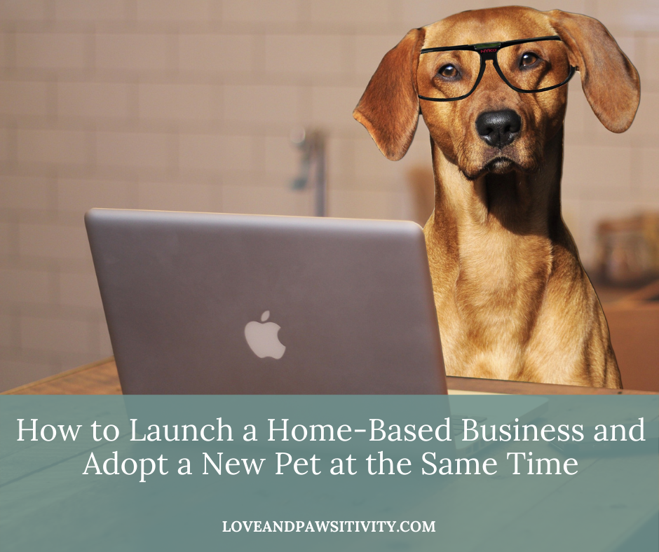 How to Launch a Home-Based Business and Adopt a New Pet at the Same Time