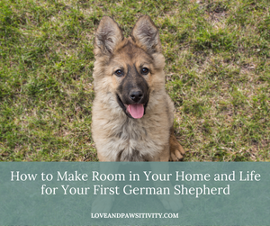 How to Make Room in Your Home and Life for Your First German Shepherd