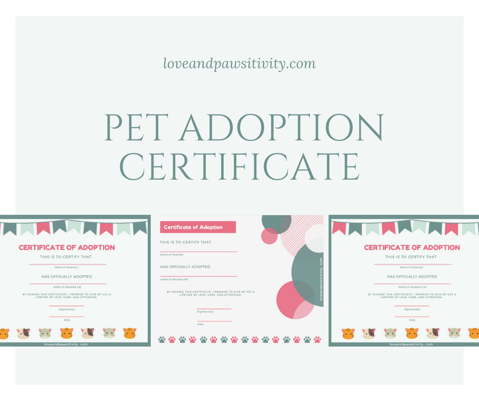 Pet Adoption Certificates
