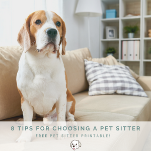 8 Tips for Choosing a Pet Sitter (Downloadable Pet Sitter Note Available)