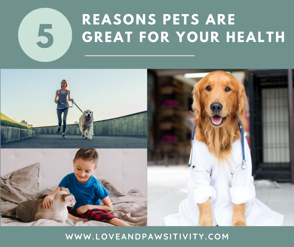5 Reasons Pets Are Great for Your Health