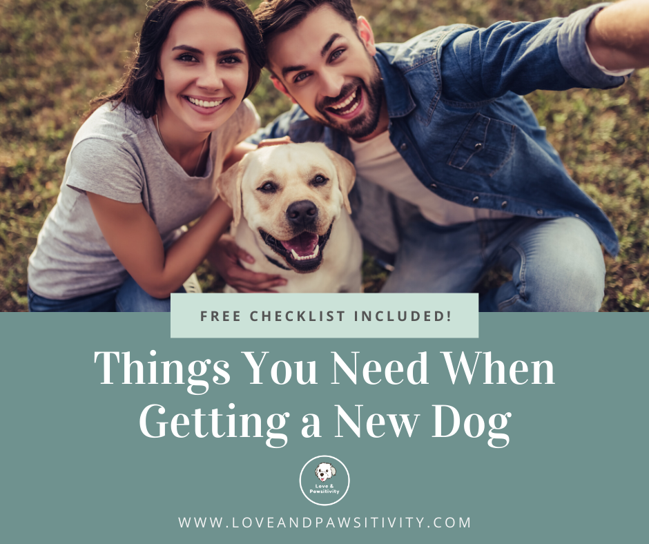 Things You Need When Getting a New Dog