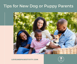 5 Tips for New Dog or Puppy Parents