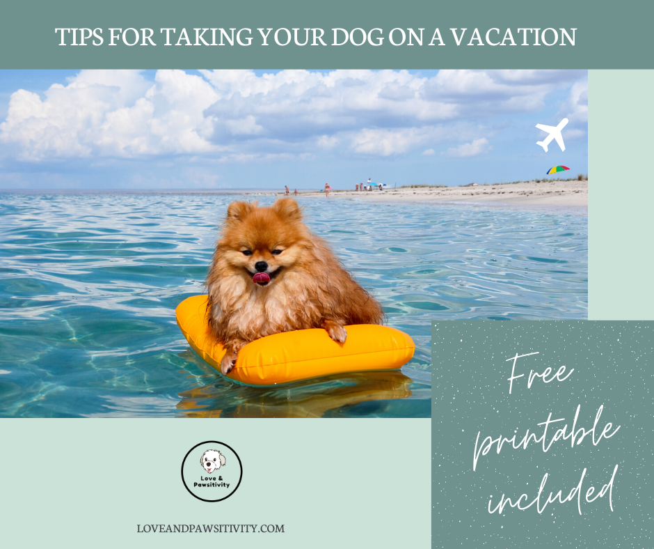 Tips for Taking Your Dog on a Vacation (FREE Printable Checklist Included)
