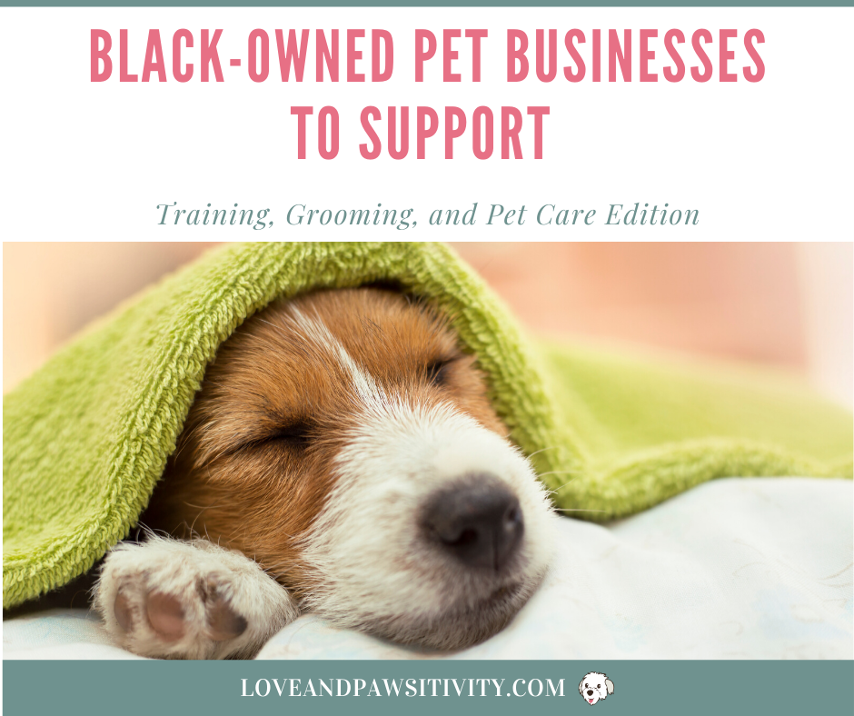 Training, Grooming, and Pet Care Edition - Black-Owned Dog Businesses to Support Now and Always